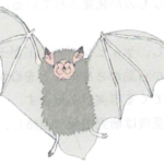 Thumbnail of post image 028